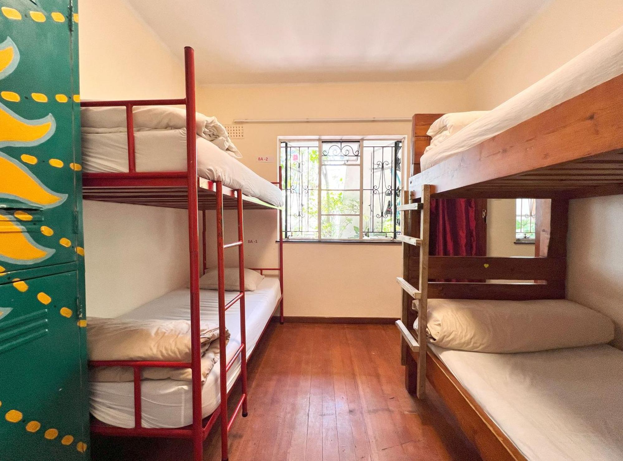 开普敦 Long Street Backpackers (Adults Only)旅舍 外观 照片